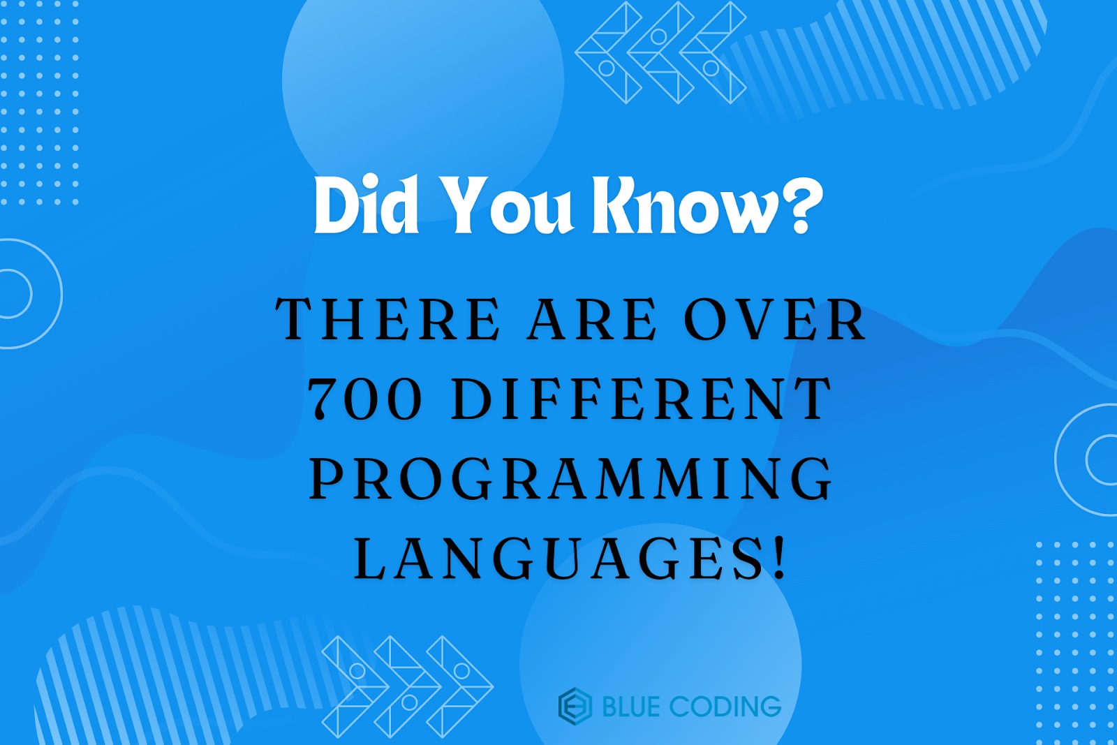 top programming languages of 2024