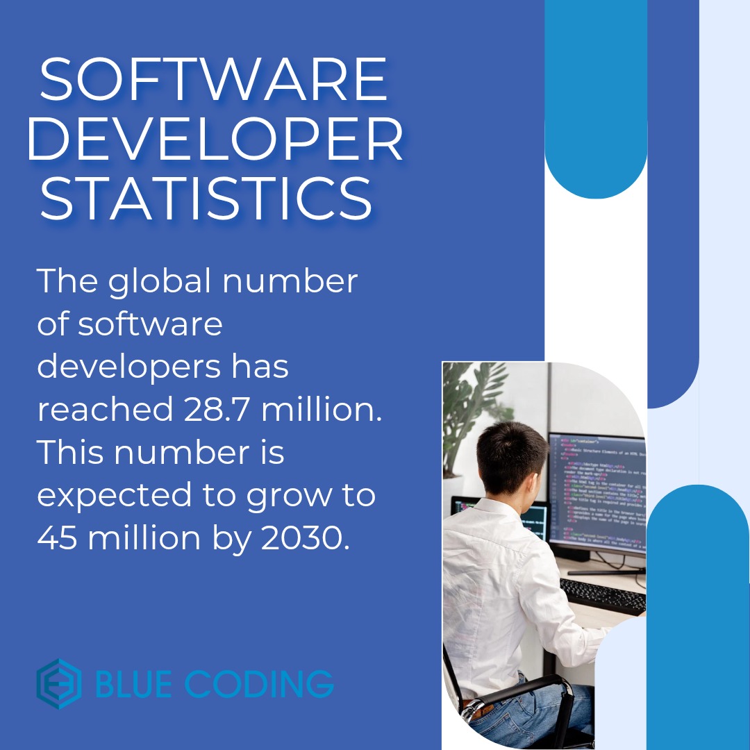 Software developer statistics